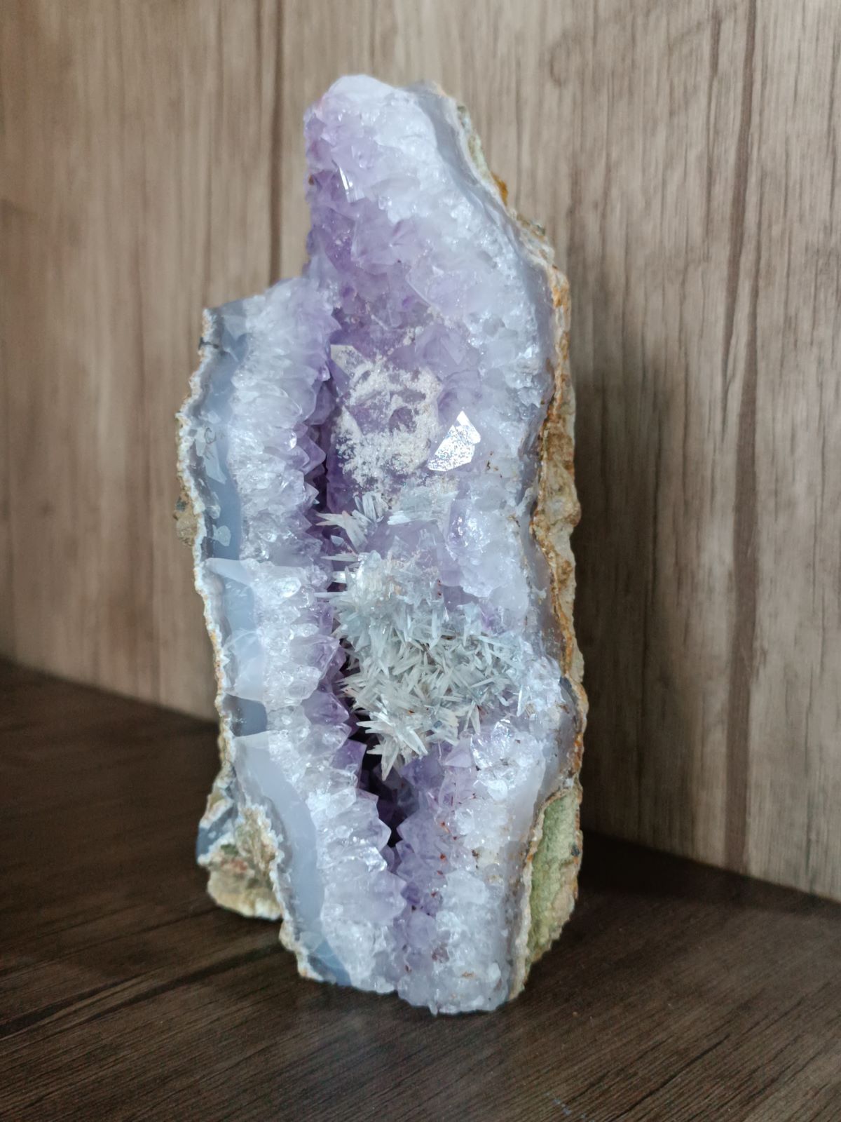 راف آماتیست